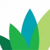 Are you a Leader in Transition? Minerva BC Career Transition Program for Women 55+ minervabc-1353623878_600