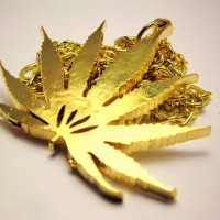Gold_Marijuana